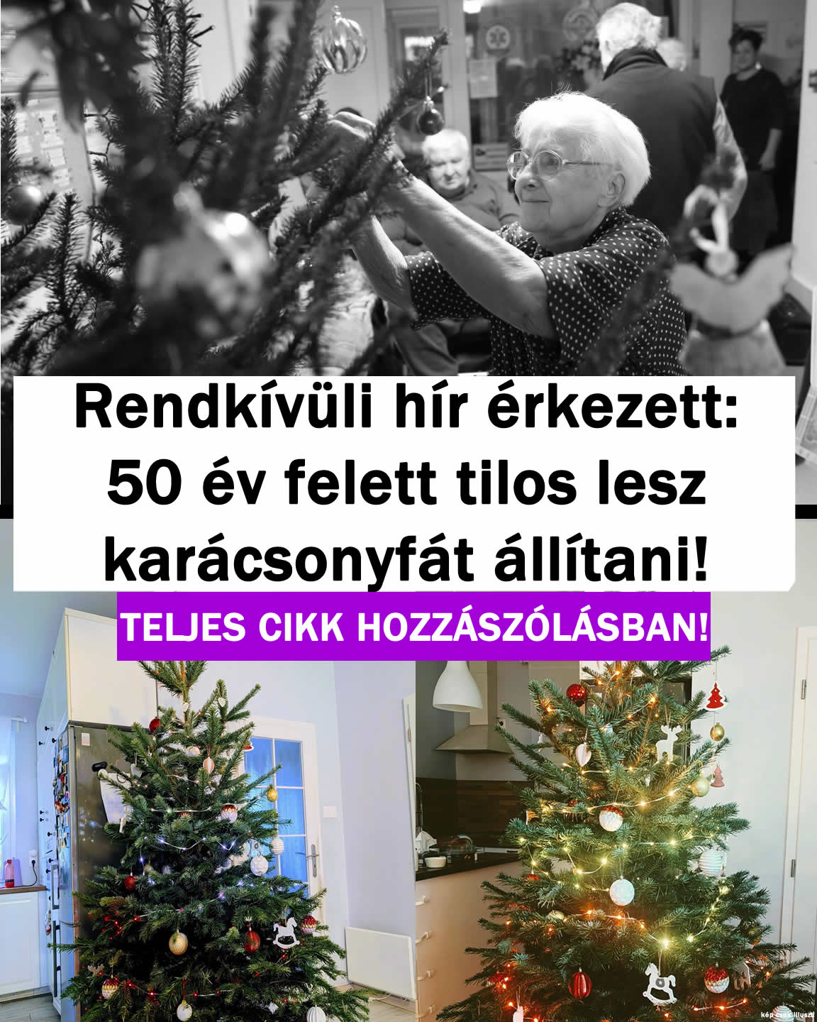 DRÁMA: 50 év felett tilos lesz karácsonyfát állítani