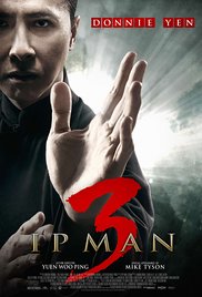 Ip Man: A védelmező